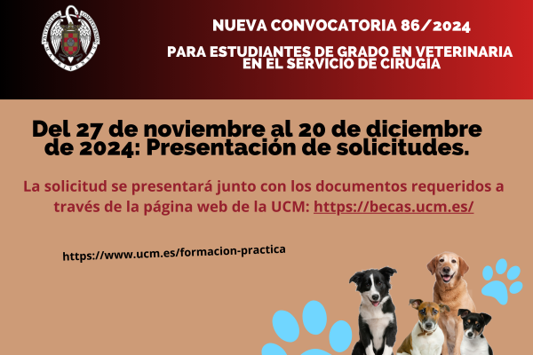 Conv. 86/2024 para estudiantes de grado en Veterinaria en el Servicio de Cirugía (área de pequeños animales) en el HCVC